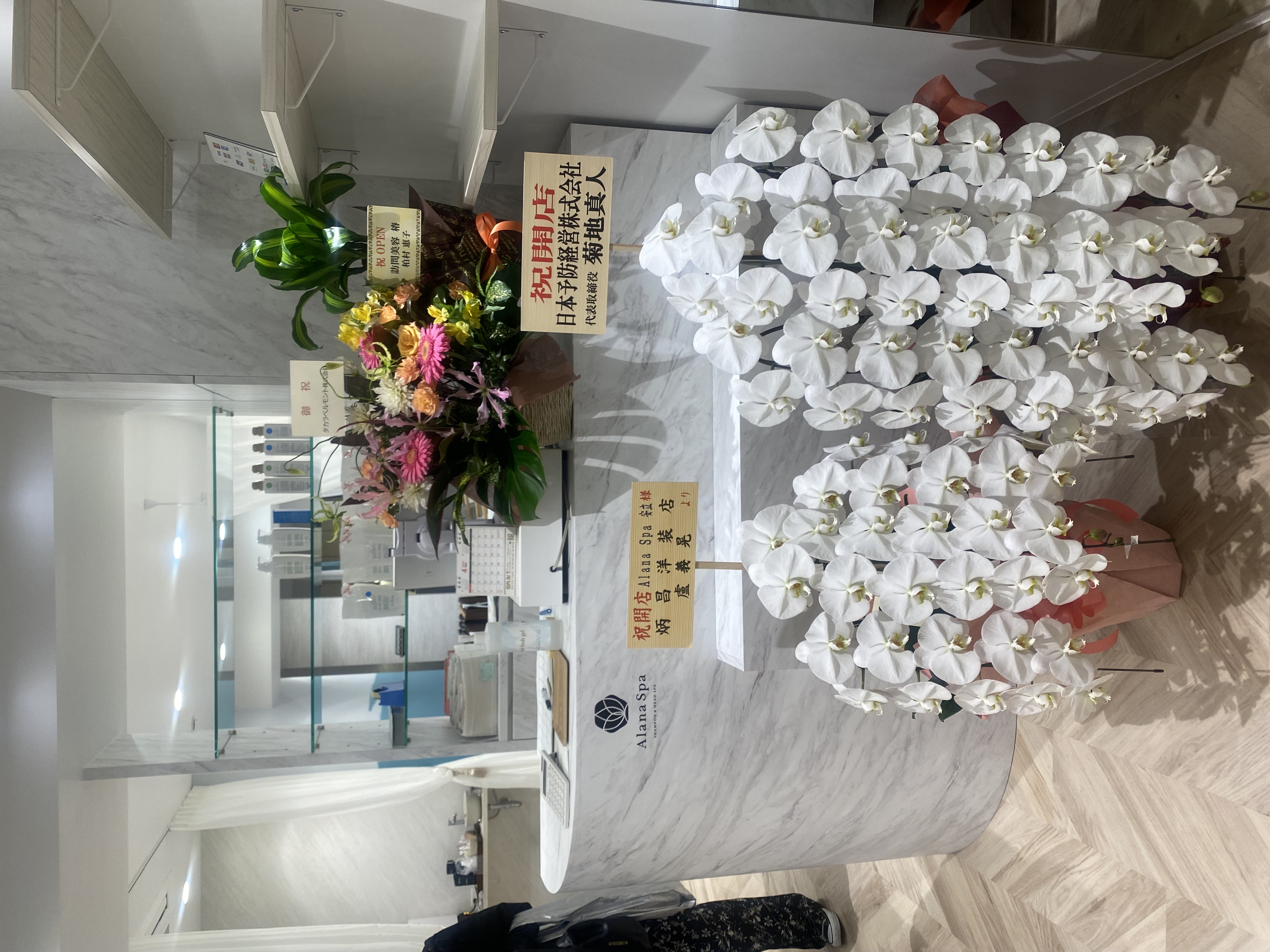 【三ノ宮】≪完全週休2日制≫≪社会保険完備≫≪有給休暇あり≫≪産休育休実績あり≫≪ママさん歓迎≫プライベートも充実しながら働ける!お客様に癒しの時間を提供するシャンプーブロー&ヘッドスパ専門店「Alana Spa(アラナスパ)」からスタイリスト(美容師)の求人☆★☆