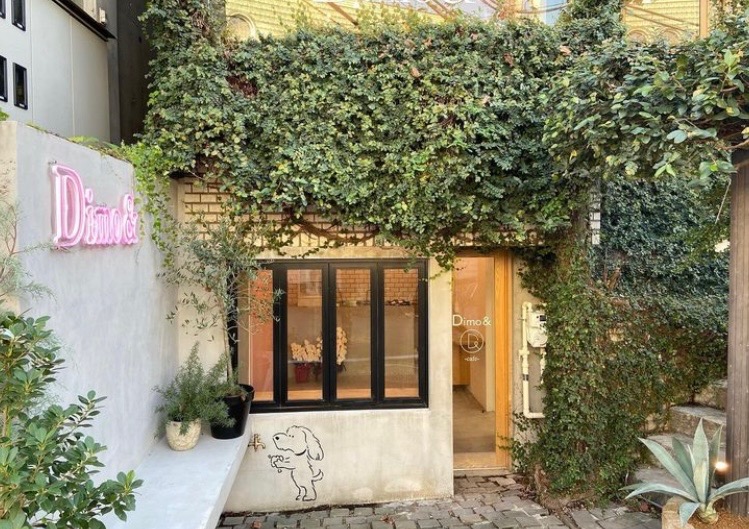 【表参道】≪平均月給80万円≫≪月8~10日休み≫SNSにて話題沸騰中!髪質改善とハイライトがウリの人気サロン!「Dimo& 表参道(ディモアンドオモテサンドウ)」からスタイリスト(美容師)の求人☆★