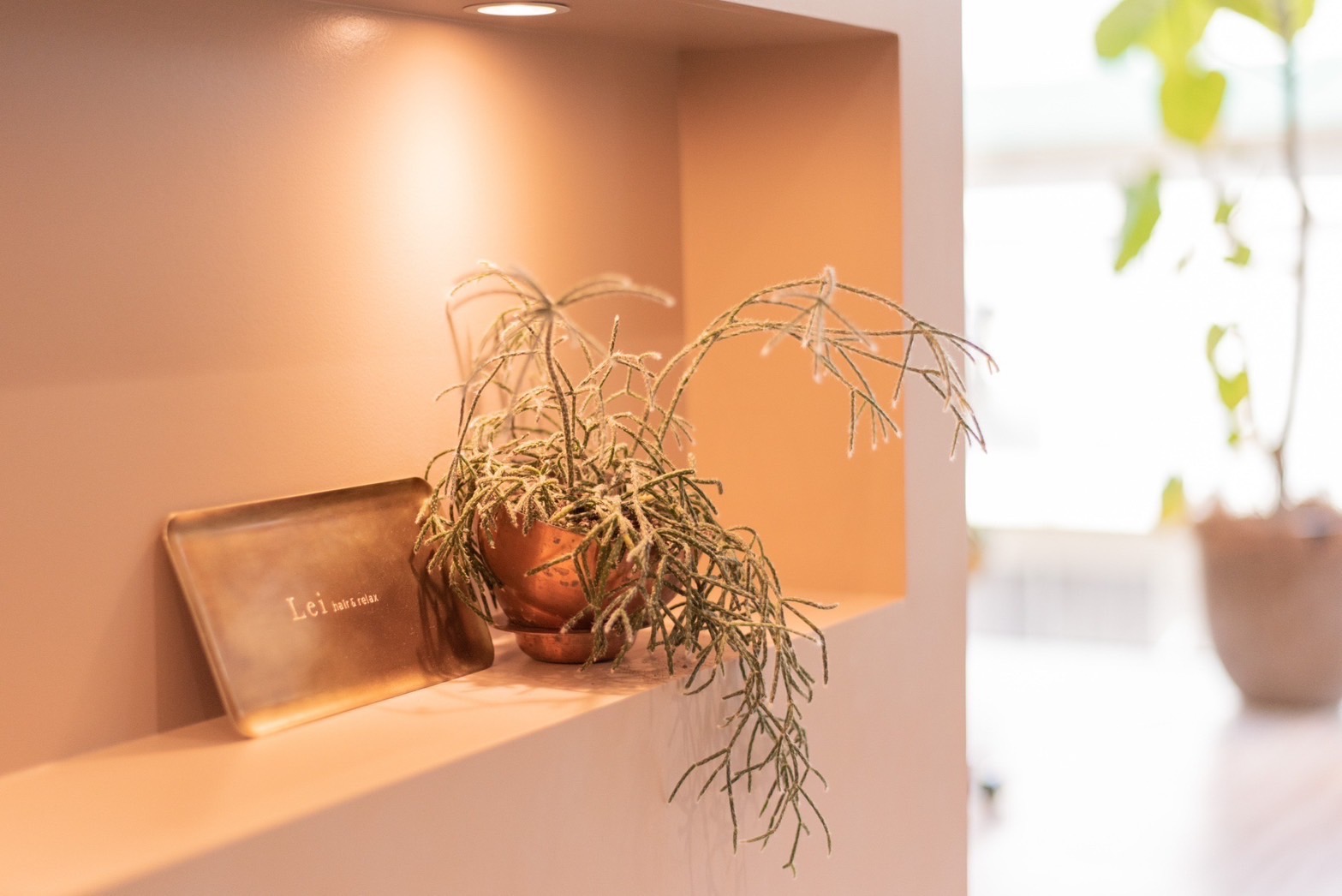 【赤坂駅】≪選べる働き方・社会保険完備・高単価・マンツーマン接客・スタイリストオンリーサロン≫一人ひとりのお客様に向き合うことができます!薬剤にもこだわり丁寧な接客と上質な空間が愛されるヘアサロン「Lei hair&relax(レイヘアーアンドリラックス)」からスタイリスト(美容師)の求人☆★