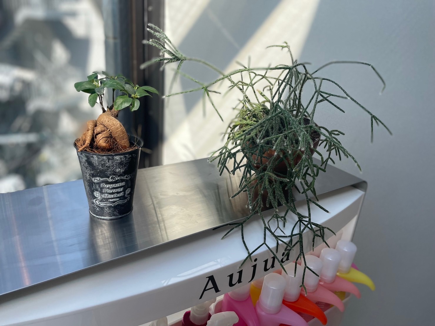 【赤坂駅】≪選べる働き方・社会保険完備・高単価・マンツーマン接客・スタイリストオンリーサロン≫一人ひとりのお客様に向き合うことができます!薬剤にもこだわり丁寧な接客と上質な空間が愛されるヘアサロン「Lei hair&relax(レイヘアーアンドリラックス)」からスタイリスト(美容師)の求人☆★