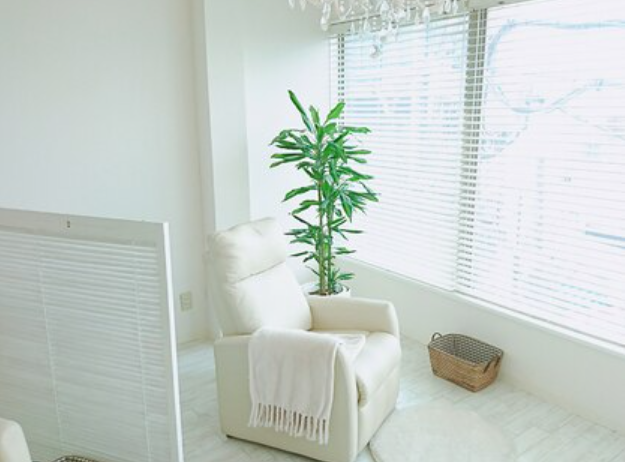 【下赤塚】≪完全週休2日制≫≪実働8時間≫≪髪色・ネイル自由≫未経験や新卒生、ママさん歓迎!スタッフのプライベートの充実を一番に望み、楽しい職場を目指しています!ライフステージに合わせた働き⽅ができるサロン「Chelien 下赤塚店(シェリアンシモアカツカテン)」からアイリスト(まつげエクステ・まつげパーマ・アイブロウ)の求人☆☆