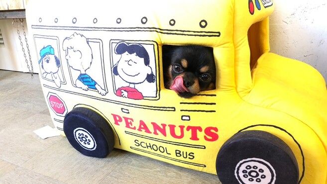【豊中駅】≪経験者歓迎≫≪髪色ネイル自由≫≪研修中もお給料発生≫≪スタッフさん関係良好≫土日祝休みの取得もOK!休日数は選択できるためプライベート重視・給与重視のどちらも働きやすい環境です!トータルビューティーサロン「Leia 豊中店(レイア トヨナカ)」からネイリスト(ネイルの求人☆☆