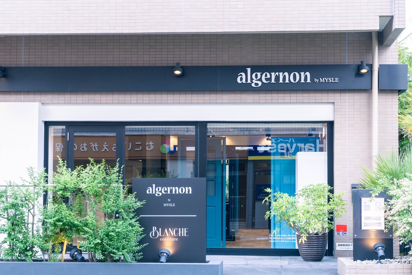 【武庫之荘】≪社会保険完備≫≪産休育休実績あり≫≪20時までに退勤可能≫≪週3日、1日5時間~OK≫幅広い年代から愛される地域密着型サロン!フラットな人間関係で働きやすい!「algernon(アルジャーノン)」からスタイリスト(美容師)の求人☆★