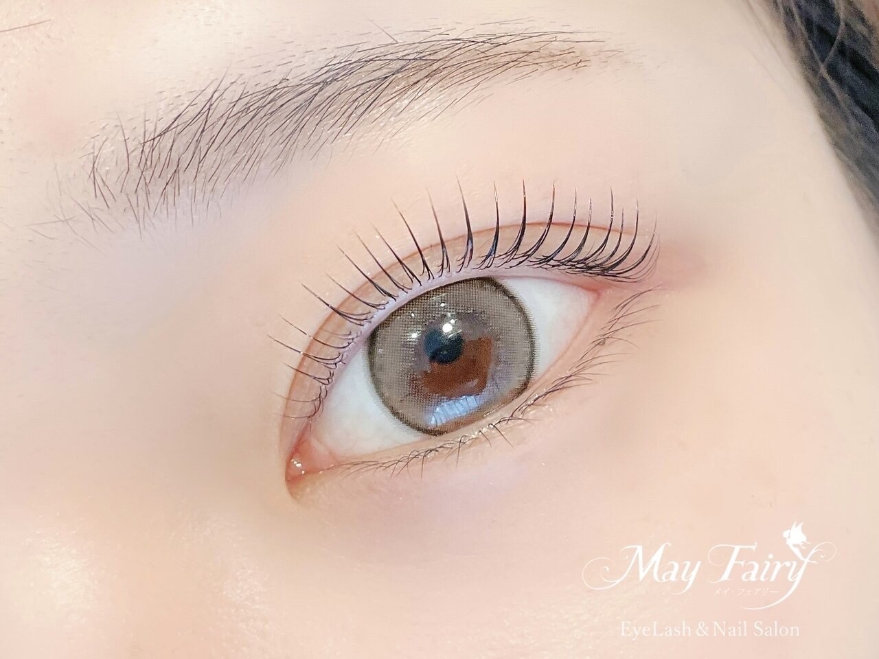 【銀座】≪ボーナスあり≫≪未経験歓迎≫≪指名料全額バック≫≪数多くのコンテストの受賞歴あり≫勤続率の高いアットホームサロン！スタッフさんが長く働ける柔軟な勤務体制を整えています！「May Fairy（メイフェアリー）」からアイリスト（まつげエクステ・まつげパーマ）の求人☆☆