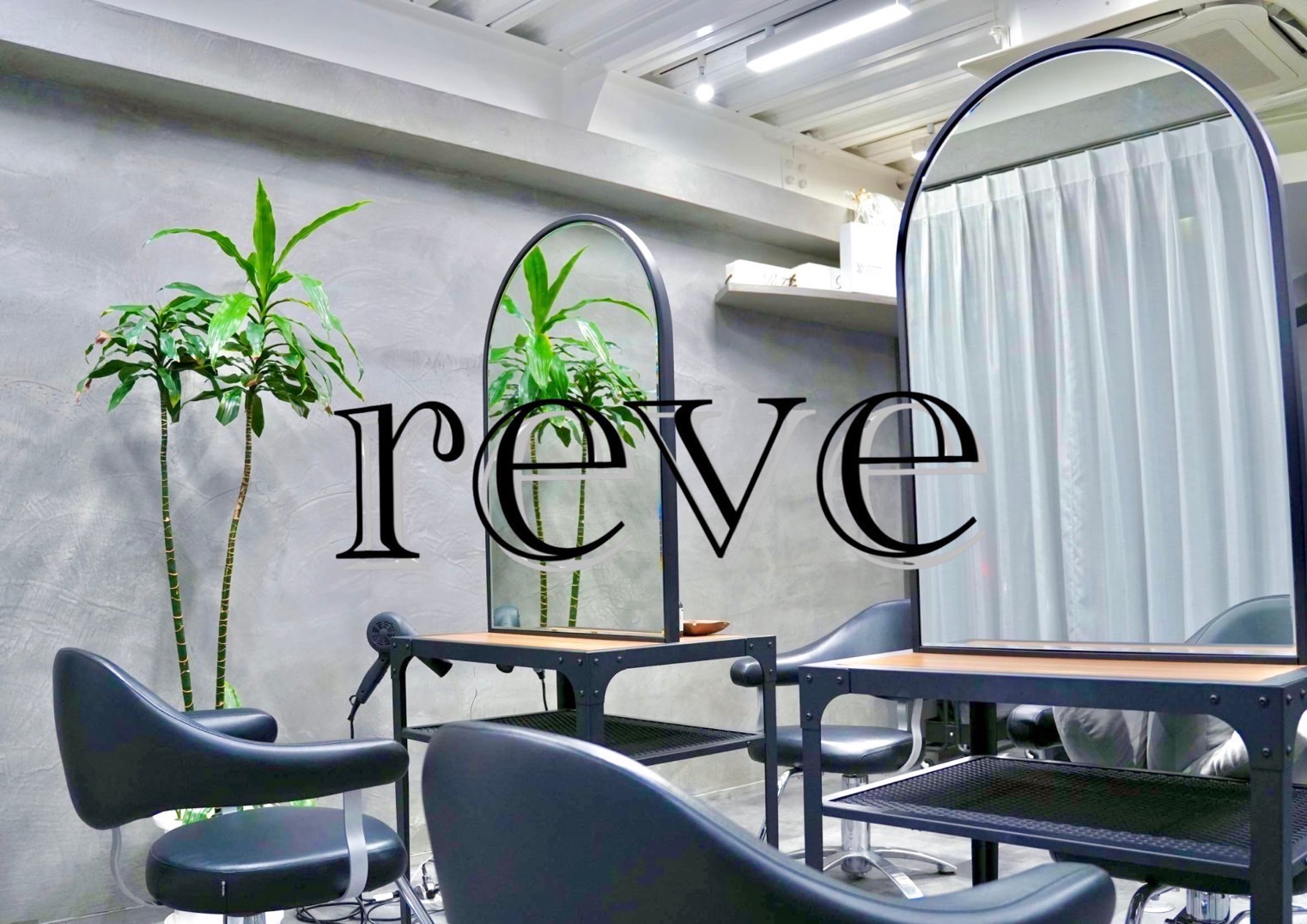 reve
