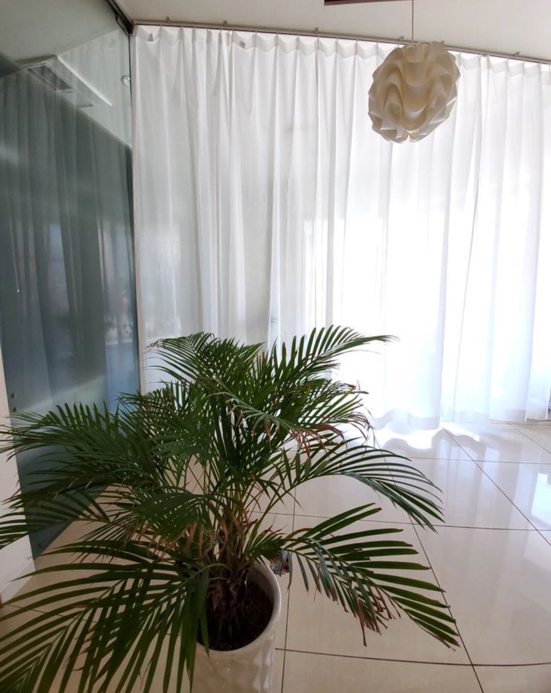 【なかもず】≪平均18時に終了≫≪自由出勤≫女性の美しさ、キレイな髪をつくるため誠実に向き合うサロンです！自由出勤とマンツーマン接客で、安心して仕事ができますよ！「Aniris（アニリス）」からスタイリスト（美容師）の求人☆☆