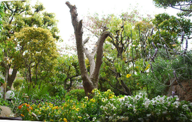 【打出】新規のお客様も多いので入客チャンスアリ!スタッフさんもお客様も気さくな方が多いので楽しみながらどんどん技術を高めていけますよ!こだわりのガーデンから日の光が差し込む素敵なサロン「avien 打出店(アビアンウチデテン)」からスタイリスト(美容師)の求人☆★