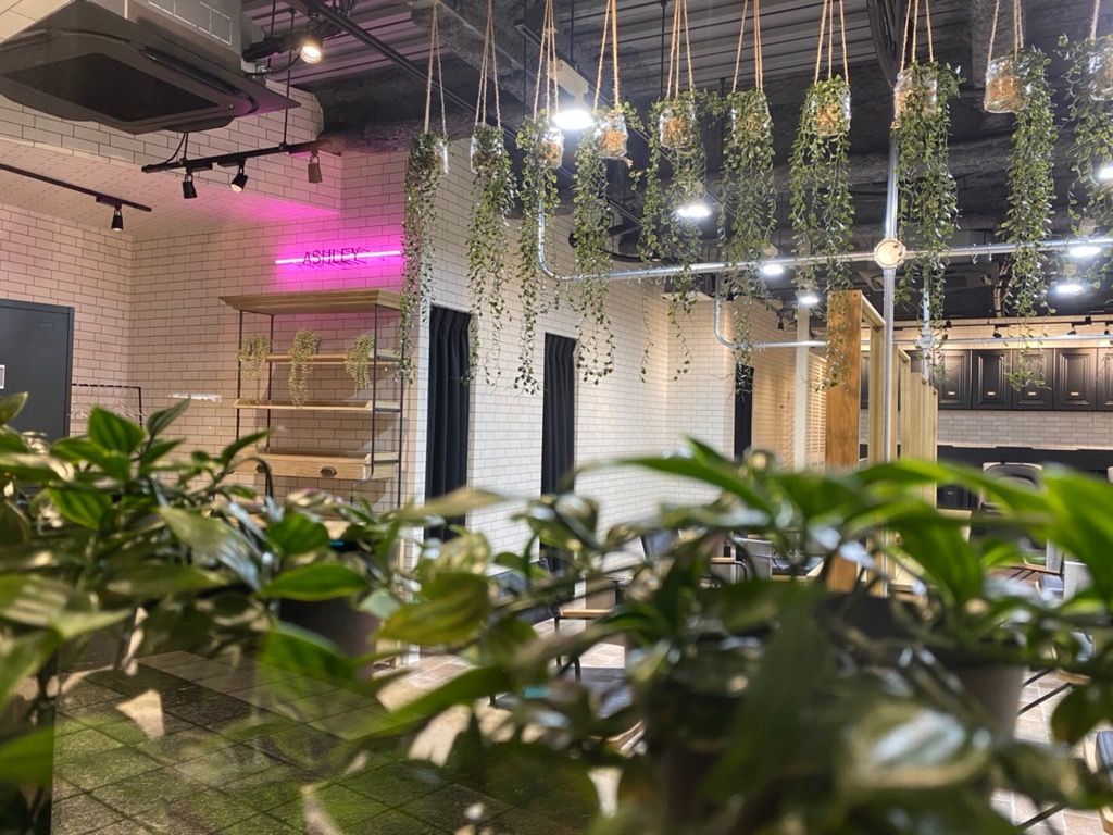 【JR福島駅】路面店の好立地！≪月8日休み・有給休暇あり≫≪実働8時間≫≪社会保険完備≫高単価な美髪ヘアサロン！「ASHLEY（アシュレイ）」からアシスタント（美容師）の求人☆☆