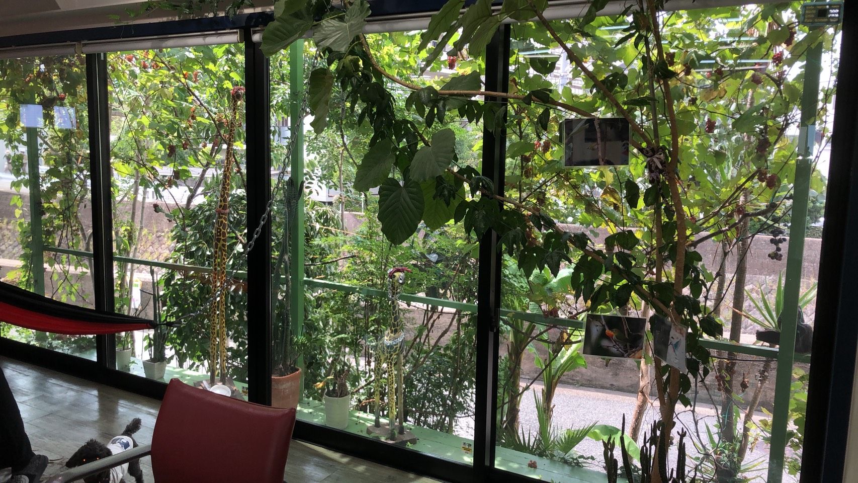 【青木】≪社会保険制度あり≫≪営業中レッスンOK≫≪正社員・パートから選べる！≫毎日高級弁当の支給あり！訪問美容も行っており、レッスン環境も充実！「kintaro-club（キンタロークラブ）」からアシスタント（美容師）の求人☆★☆