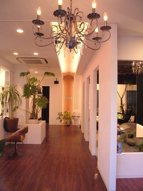 【垂水】充実のレッスン体制あり！様々な技術が学べ、美容師としても人間としても成長できる環境の地域密着型トータルビューティーサロン「cool（クール）」からアシスタント（美容師）の求人☆★