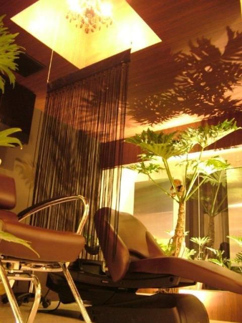 【垂水】充実のレッスン体制あり！様々な技術が学べ、美容師としても人間としても成長できる環境の地域密着型トータルビューティーサロン「cool（クール）」からアシスタント（美容師）の求人☆★