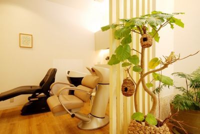 【野田】≪完全週休2日制／年間休日110日／社会保険完備≫お客様とじっくり向き合いたい方に営業中の空き時間も活用してレッスンOK！オーナーさんによる一人一人に合わせたマンツーマン指導で着実に成長できる環境！裏路地の可愛いプライベートサロンです！ママさん美容師支援制度もあり！「RUTA（ルタ）」からアシスタント（美容師）の求人★☆