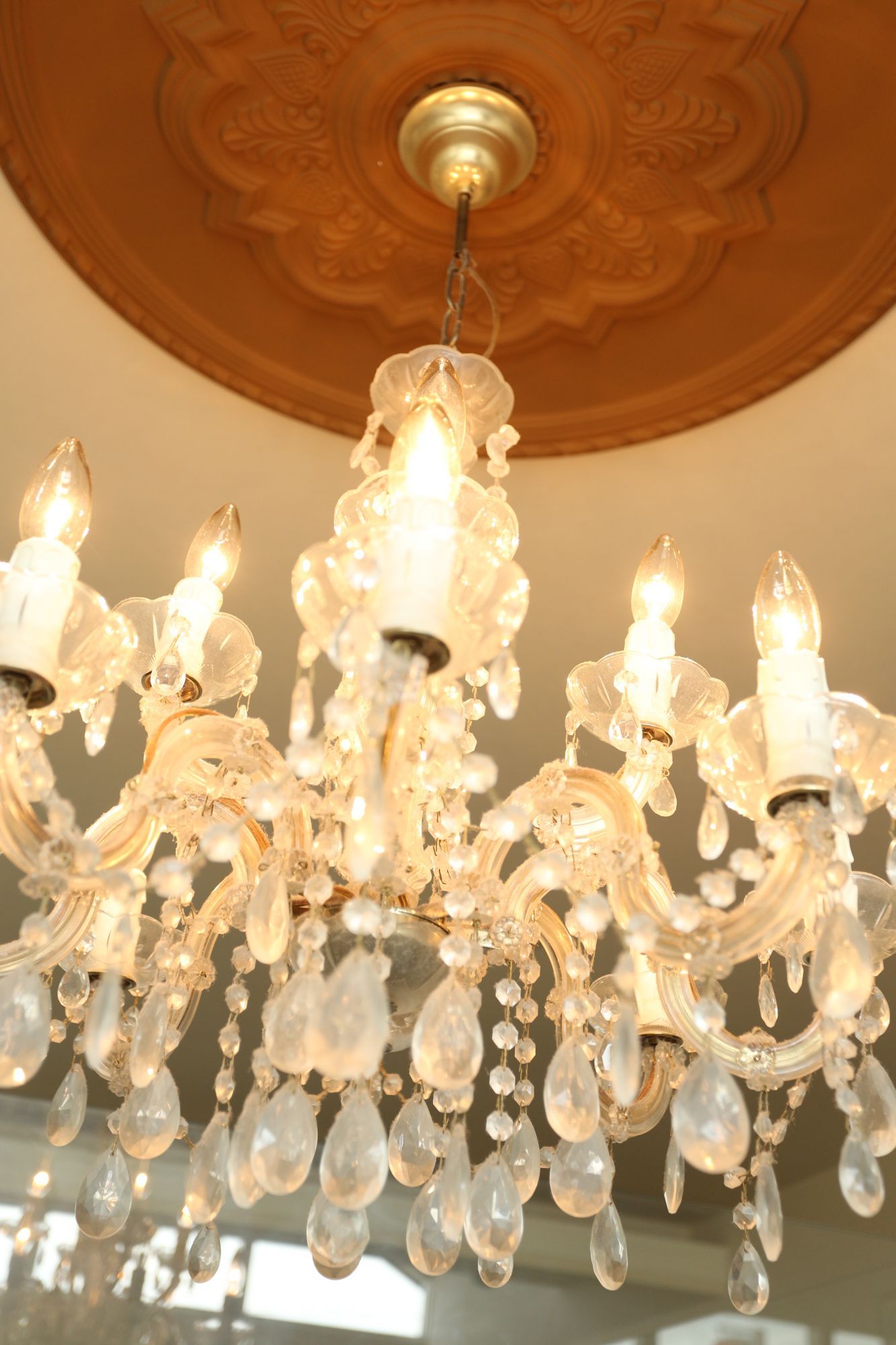 【滝野】スタッフさん同士みなさん仲良しなので、毎日のサロンワークがとっても楽しい環境のサロン♪社会保険も完備♪「Be Shine 滝野店（ビィシャイン タキノテン）」からアシスタント（美容師）の求人☆★