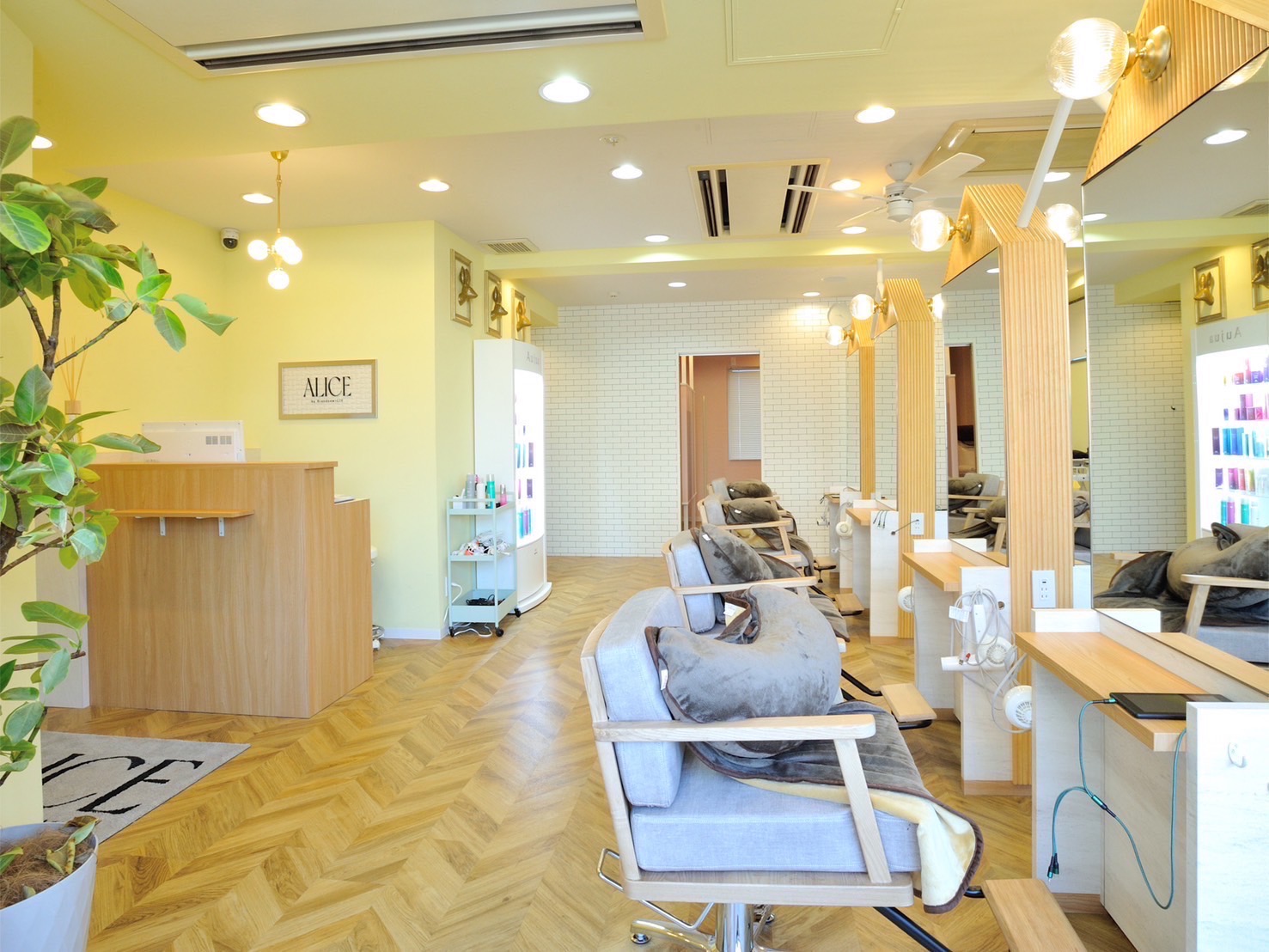 【なんば】≪月8日休み≫≪社会保険完備≫≪早期デビュー可能≫好条件&充実の教育体制!韓国ヘアスタイルとトレンドカラーが人気!「ALICE by Brandnew×LIV 難波店(アリスバイブランニューリヴナンバテン)」からアシスタント(美容師)の求人☆★☆