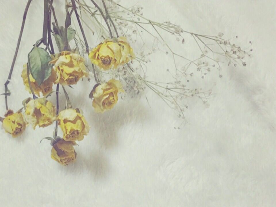 【藤井寺駅前】≪土日祝の勤務可能な方を募集≫≪パート・業務委託≫駅前すぐのドライヘッドスパ専門店！一から研修を受けて技術を学べます！「shuo（シュオ）」からスパニストの求人☆☆