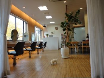 【長住一丁目】≪未経験・新卒生・通信生OK≫≪パートアルバイトOK≫スタイリストデビュー後も入客チャンスあり♪幅広い世代のお客様が来店される地域密着型×少人数制ヘアサロンLe PATCH（ルパッチ）からアシスタント（美容師）の求人★☆