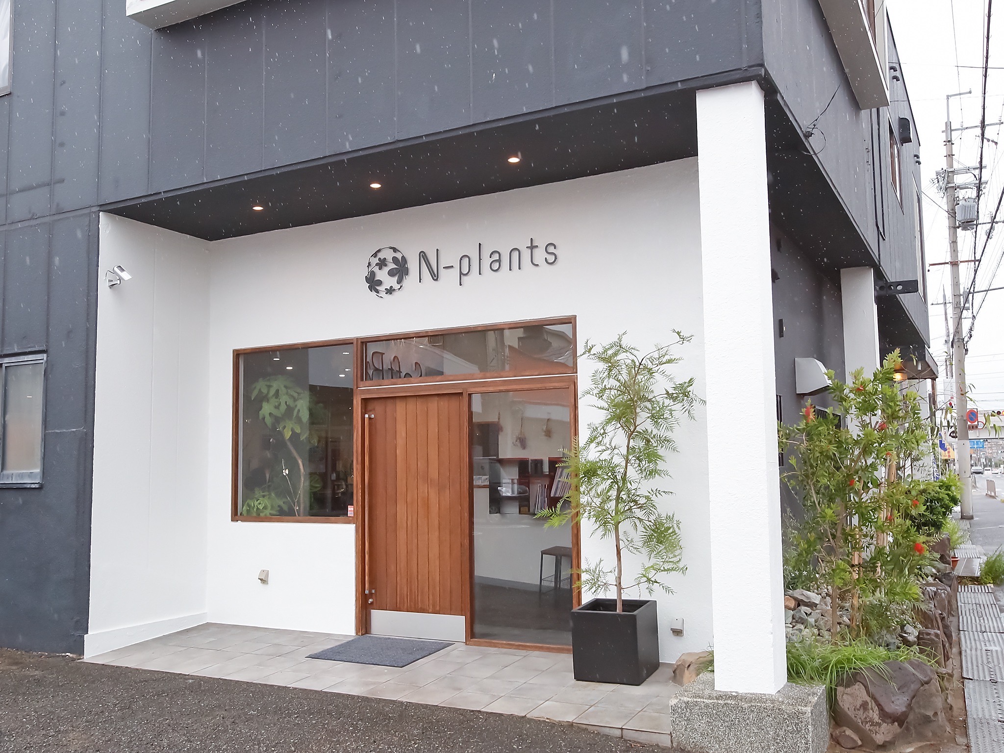 【泉大津駅】≪スタイリストデビューまで1年以内≫≪月給20万円≫≪有給休暇あり≫≪社会保険完備≫20代スタッフが多く離職率が低い!幅広い経験をして、楽しく成長できるサロン「N-plants 泉大津店(エヌプランツイズミオオツテン)」からアシスタント(美容師)の求人☆★