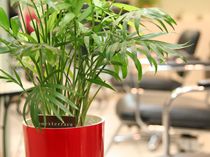 【布施】≪月給21万スタート≫≪早期デビュー可能！平均退社20時≫仕事もプライベートも両立できる環境です！レッスンも自分のペースで進めていけますよ！「HAIR CREW（ヘアークルー）」からアシスタント（美容師）の求人☆★☆