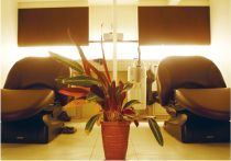 【池田駅】社会保険完備!店舗展開する注目のサロン!中途採用の方も多数活躍中!少人数制&アットホームな雰囲気が人気!入客チャンスも多い!“rise cocoo garden 池田店(ライズココウガーデン)”からスタイリスト(美容師)の求人★☆