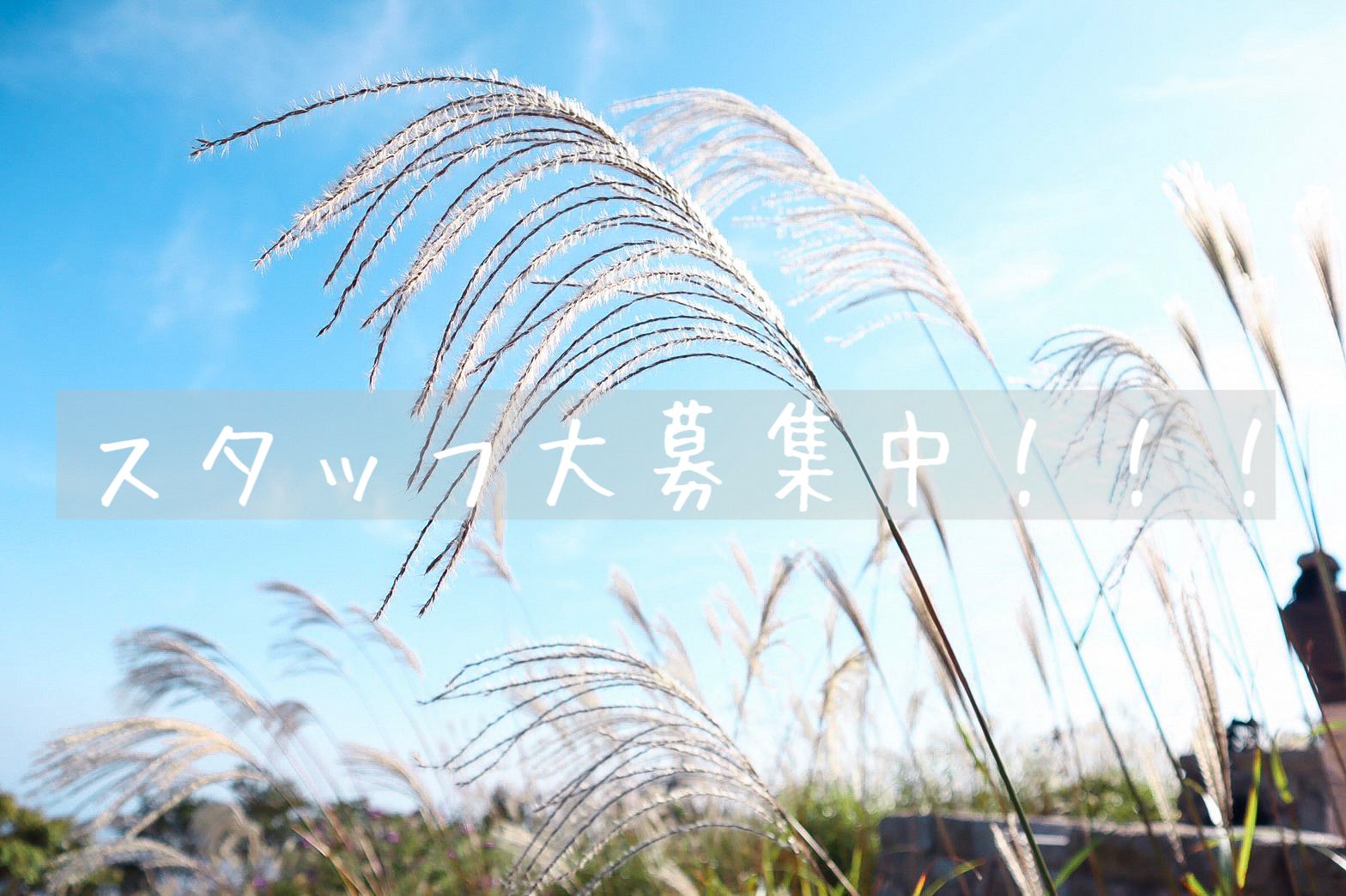 株式会社FREYJA GARDEN
