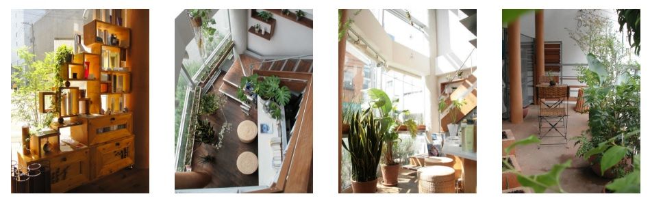 【博多駅】≪未経験・新卒生OK≫レッスンは営業前に行うので退勤時間が早いんです！オーナーさんから直接技術を学べるヘアサロン「Hair TERRACE（ヘアーテラス）」からアシスタント（美容師）の求人★☆