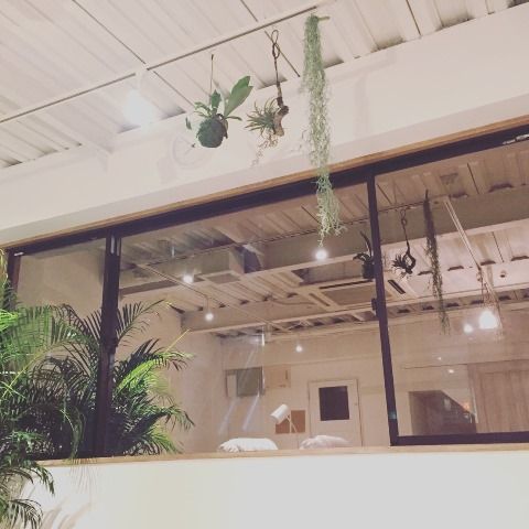 【京阪枚方市】カウンセリング重視☆アットホームなサロンです♪経験をフルに生かせる環境です☆”Atelier katong（アトリエカトン）”からアイリスト（アイデザイナー・まつ毛エクステ）の求人★☆★