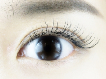 【柏駅】土日のお休みも可能!18時までの営業!≪正社員だってプライベートも充実≫≪安心の社会保険完備≫高歩合率で頑張りがしっかり給与に反映されます!「Adii & Lash 柏本店(アディ アンド ラッシュ カシワホンテン)」からアイリスト(アイデザイナー・まつげエクステ)の求人☆☆