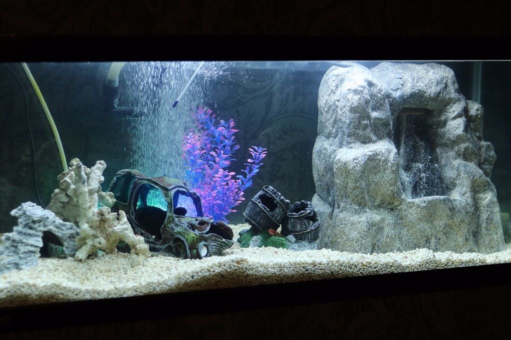 【山科】掛け持ち無しの完全マンツーマンでお客様と関われます！単価が良いのも魅力!hair art EAZE（ヘアアートイーズ）からスタイリスト（美容師）の求人★☆