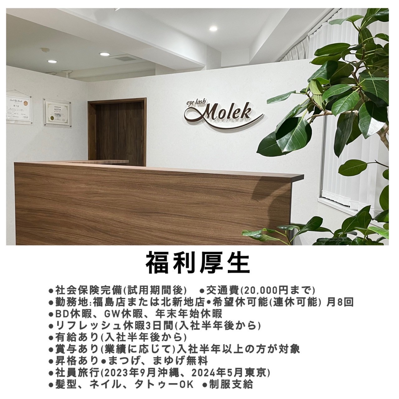 【福島】≪総支給32.5万円≫≪完全個室&半個室≫≪経験者大歓迎≫≪実働8時間≫≪歩合でしっかり還元≫人間関係も良く風通しの良い環境のサロン！プライベートもしっかり充実できるのがとっても魅力的！「eyelash Molek（アイラッシュモレ）」からアイリスト（まつげエクステ・まつげパーマ・アイブロウ）の求人★☆★