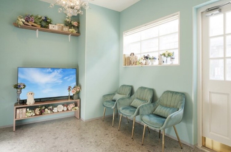 【淵野辺】 保障給あり  完全マンツーマン  独立支援制度あり 住宅地に佇む地域に愛されるヘアサロン★完全歩合制 フリー44％／指名55％還元 により平均月収35万円以上!!!土日休みなどプライベート重視もOK★「Anphi 淵野辺（アンフィフチノベ）」からスタイリスト（美容師）の求人★☆