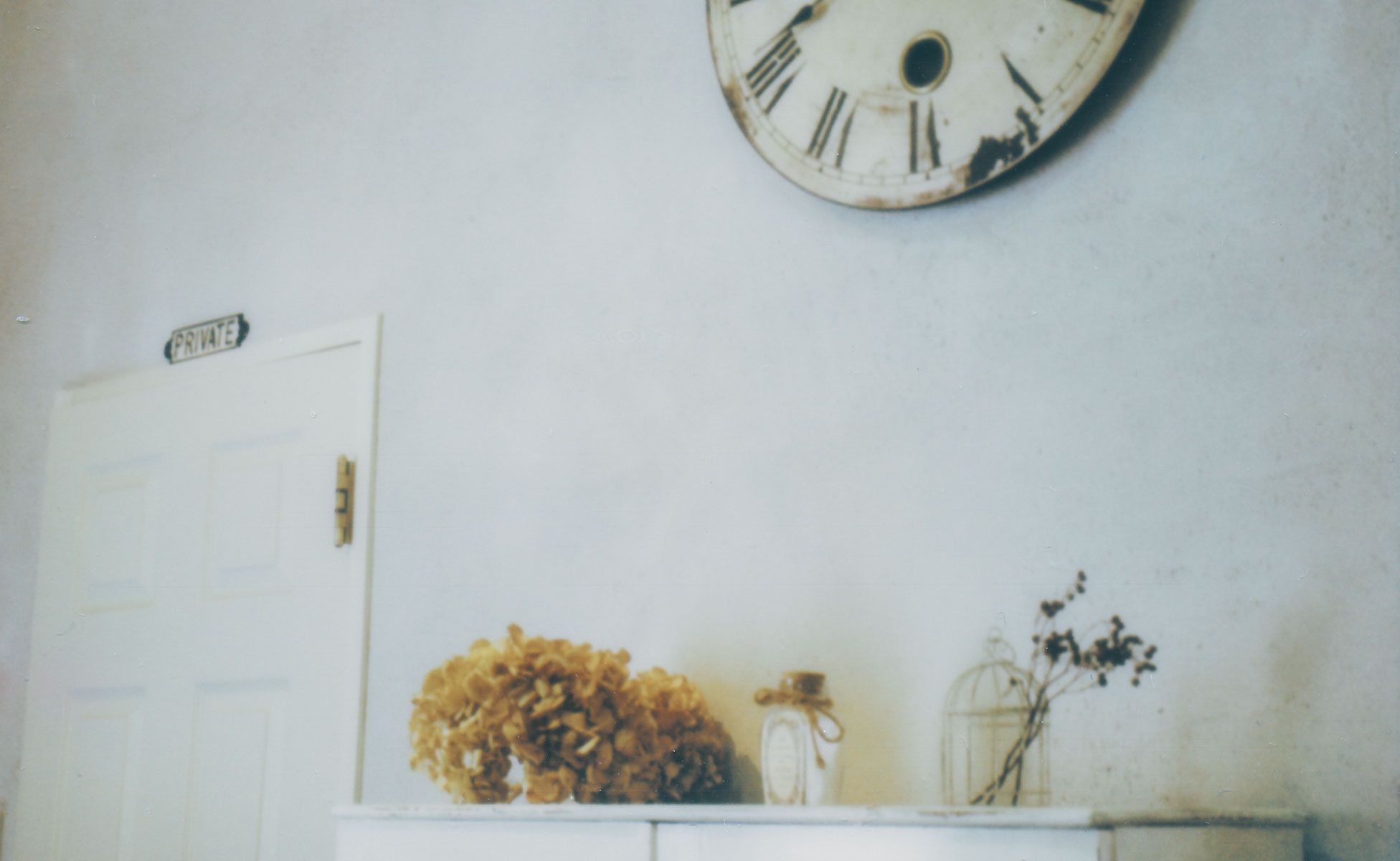 【阿波富田】≪19時までに退勤可能≫≪土日休みOK≫≪社会保険完備≫≪2年でデビュー可能≫≪営業中レッスンOK≫実力をつけたい方必見！楽しく働きながら成長できます☆トレンドを抑えつつ、撮影も学べますよ♪早期デビューを目指す方にもおススメ！Le blanc hair gallery（ルブランヘアギャラリー）からアシスタント（美容師）の求人☆★