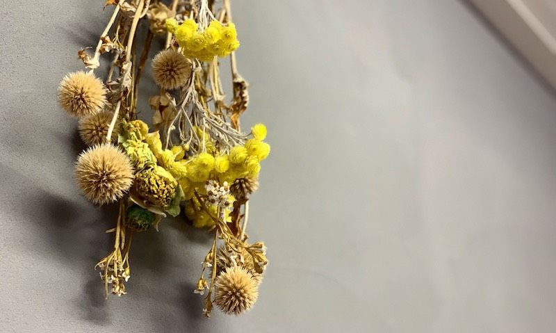 【甘木駅】≪月給21万円〜・社会保険完備・月8日休み・マンツーマン接客≫お客様との時間を大事にしたい方にオススメ！！郊外にある小規模×少人数のプライベートヘアサロン「SEED hair design（シードヘアーデザイン）」からスタイリスト（美容師）の求人★☆