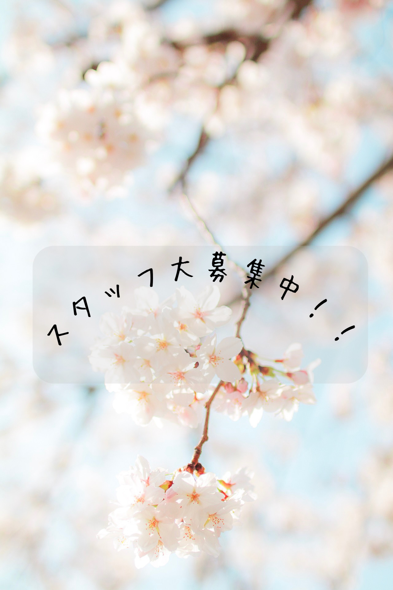 株式会社Ameri