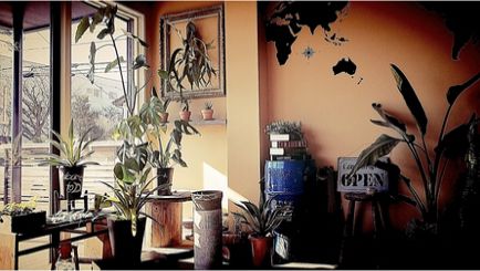 【雀宮】≪20時までに退勤可能≫≪2年でデビュー可≫≪土日休みも相談可能≫≪社会保険完備≫安心して永く働ける環境!頑張り次第で早くスタイリストになり、稼ぐことも可能ですよ!“Hair design D.(ヘアーデザインディードット)”からアシスタント(美容師)の求人☆★