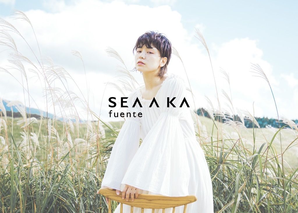 【明石駅】≪社会保険完備≫≪有給休暇あり≫≪完全週休2日制≫など高待遇に高い技術が人気です!撮影やコンテストなどサロンワーク以外にもチャレンジできる環境です!「SEA A KA fuente(シアカフェンテ)」からスタイリスト(美容師)の求人★☆