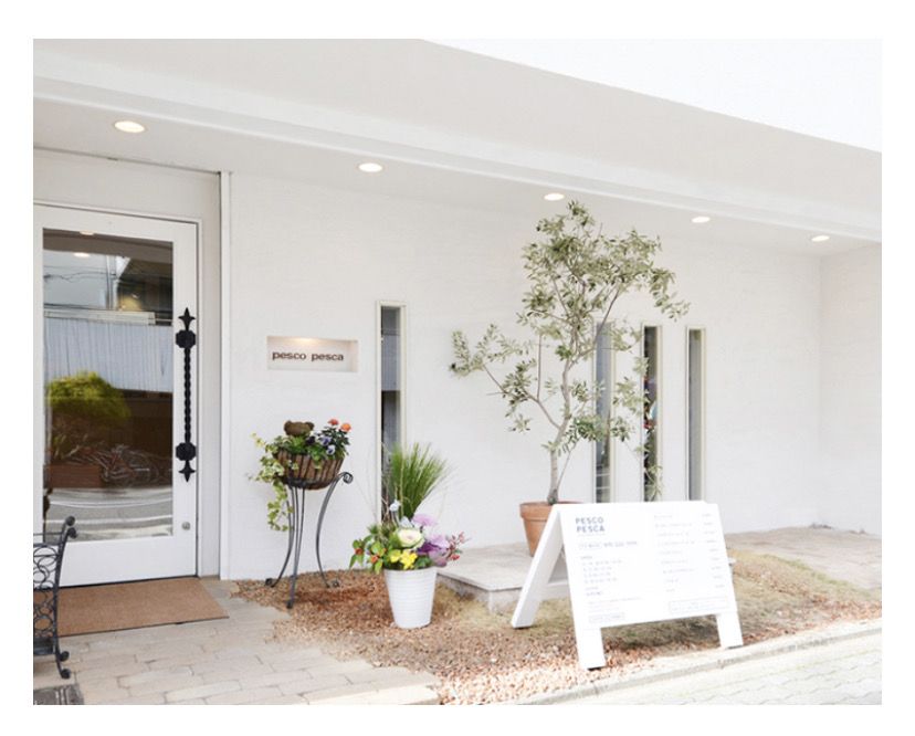 【出町柳】お客様一人ひとりに寄り添える完全個室サロン≪寮完備≫≪社会保険完備≫≪完全週休2日≫スパやカラーが人気でアシスタントから売上を積める!!もちろん売上は歩合還元されます!スパ二スト希望も相談OK!プライベート空間を重視した技術に定評ありの「PESCO PESCA(ぺスコぺスカ)」からアシスタント(美容師)の求人☆★