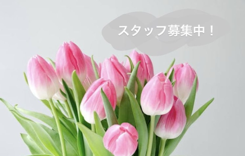 Beldad(ベルダ)
