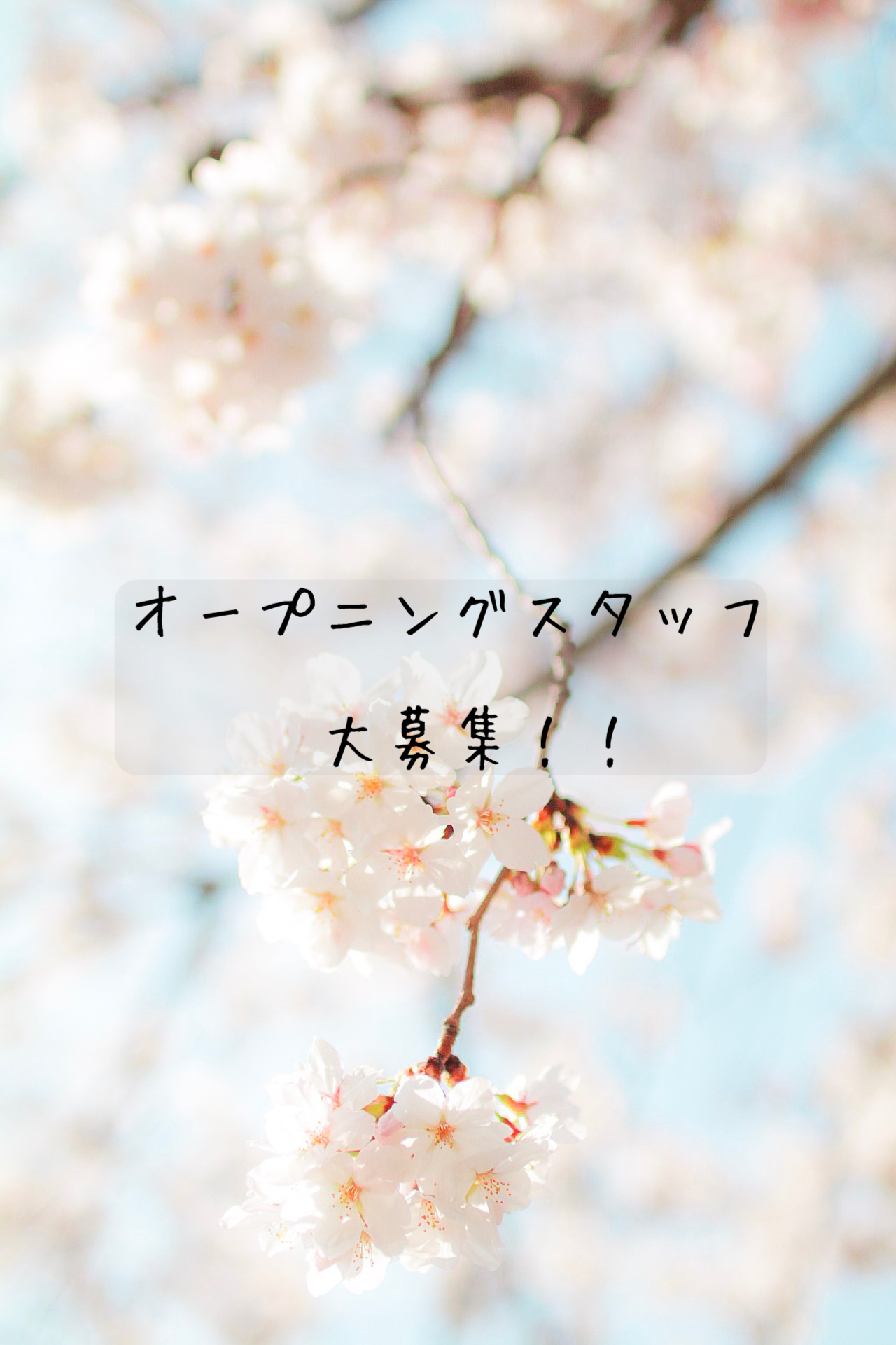 株式会社owc