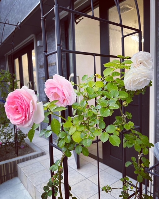 【千里丘】≪月8～10日の間で休日数を選択可能≫≪月給22万円～≫≪社会保険完備≫≪18,19時台に退勤可能≫≪休憩1時間あり≫頑張り次第で最短1年以内にデビュー可能！営業時間内レッスンも可能！アイラッシュやネイル、着付けなども学べるトータルビューティーサロン！営業時間内レッスン可能！「Oeuf ambiance（ウフアンビアンス）」からアシスタント（美容師）の求人☆★