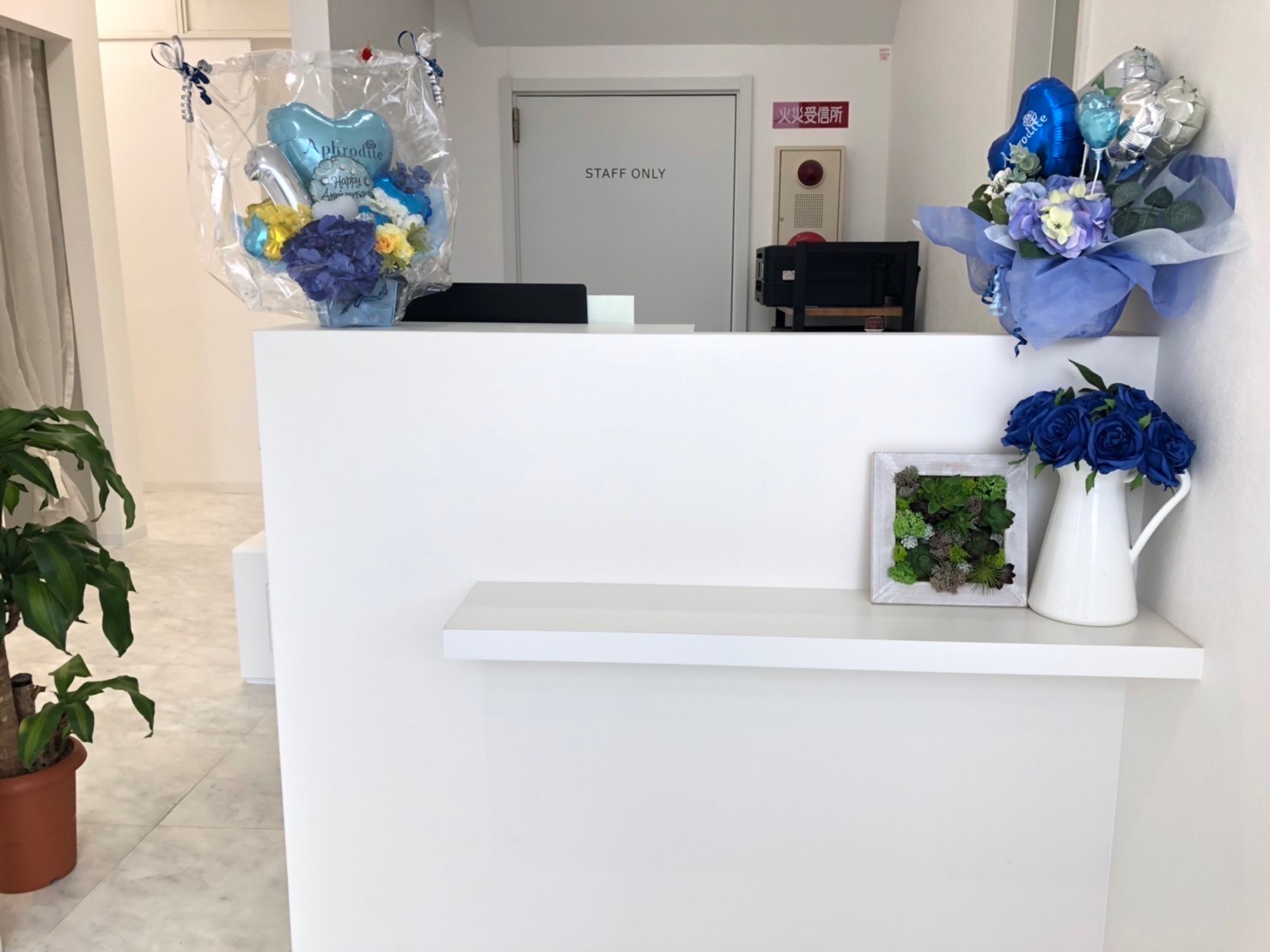 【守山駅】≪土日祝のお休み月1～2回OK≫≪年1回5連休の取得可能≫≪社会保険完備≫≪髪色ネイル自由≫施術時間にゆとりをもってお客様と密に関われる環境のサロン「Aphrodite（アフロディーテ）」よりアイリスト（アイデザイナー・まつ毛エクステ）の求人☆★