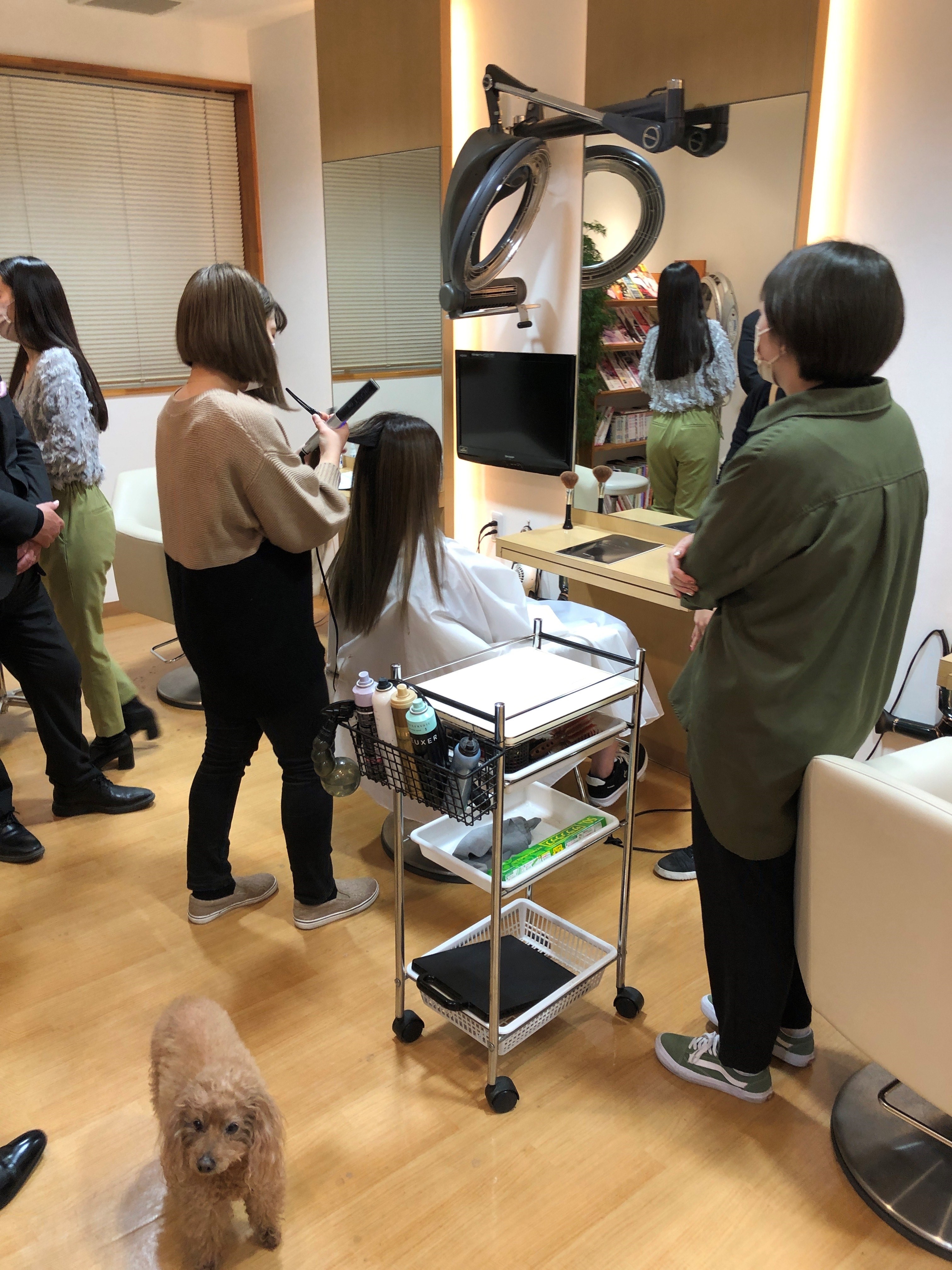 【高木瀬町】≪月給20万円~・完全週休2日制・社会保険完備・毎週月曜日/火曜日が定休日・退勤時間は17時と18時の交代制≫充実の福利厚生!!平均2年でスタイリストデビューを目指せます!30~40代女性をメインに多くのお客様から愛されている温かい雰囲気のヘアサロン「Bonheur(ボヌール)」からアシスタント(美容師)の求人☆☆