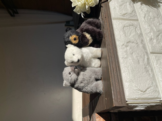 【福間駅前】≪週休2日・実働7時間・営業17時まで・土日休みの相談OK≫交通費orガソリン代全額支給(駐車場完備)スタッフにとってもひだまりのようなサロンを目指しています。あなたのなりたいを叶えるヘアサロン「hair&make SOLA'tio(ヘアーアンドメイクソラティオ)」からアシスタント(美容師)の求人☆★☆