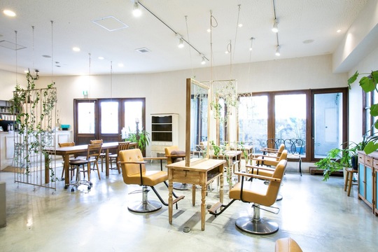 ANCHOR laule’a（アンカー ラウレア）