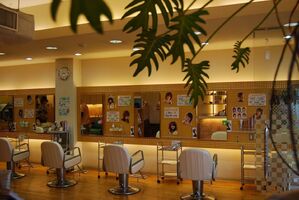 有限会社コティ