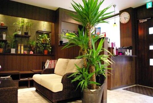 JUNOA（ジュノア）