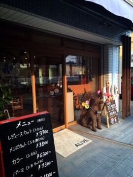 ALIVE hair（アライブ ヘアー）