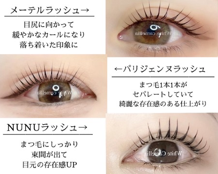 White Camellia 上本町店（ホワイト カメリア ウエホンマチテン）