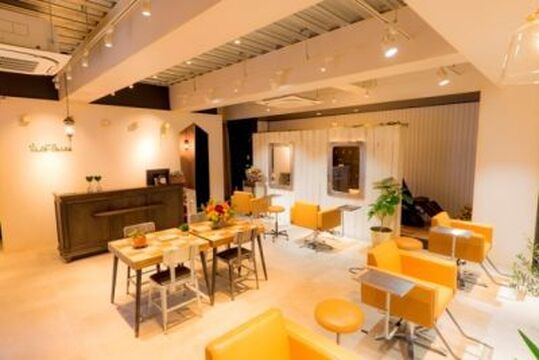 Vivo corte（ビボ コルチ）