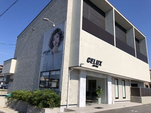 【五位堂】≪社会保険完備≫≪社員旅行≫≪安心して学べる技術≫≪働きやすい環境≫オンオフがしっかりしていて、メリハリのある会社。ヘアケア、技術力に特化したサロン「CELUX(セリュックス)」からアシスタント（美容師）の求人☆★