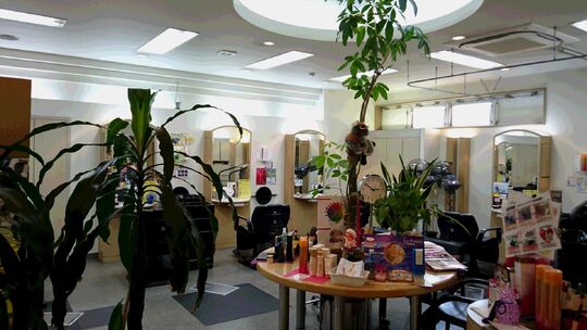 Mi Vida（ミヴィダ）